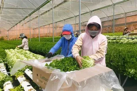 Vì sao bảo quản nông sản đúng cách lại quan trọng?