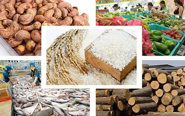 Tiềm Năng và Thách Thức Của Ngành Hàng Nông Sản Việt Nam: "Góc Nhìn" Về Tương Lai