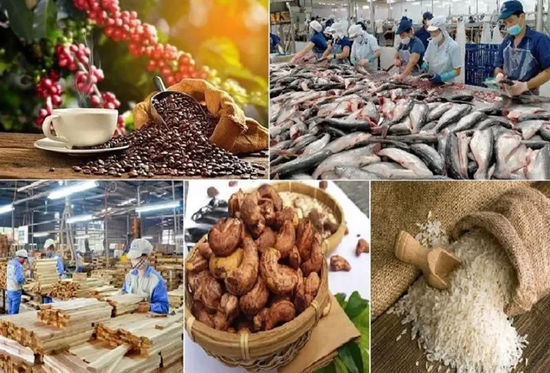 Các Loại Nông Sản Phổ Biến Ở Việt Nam: "Điểm Danh" Những "Gương Mặt Vàng"