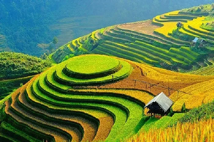 Canh tác bền vững là gì? Khái niệm và ý nghĩa cốt lõi