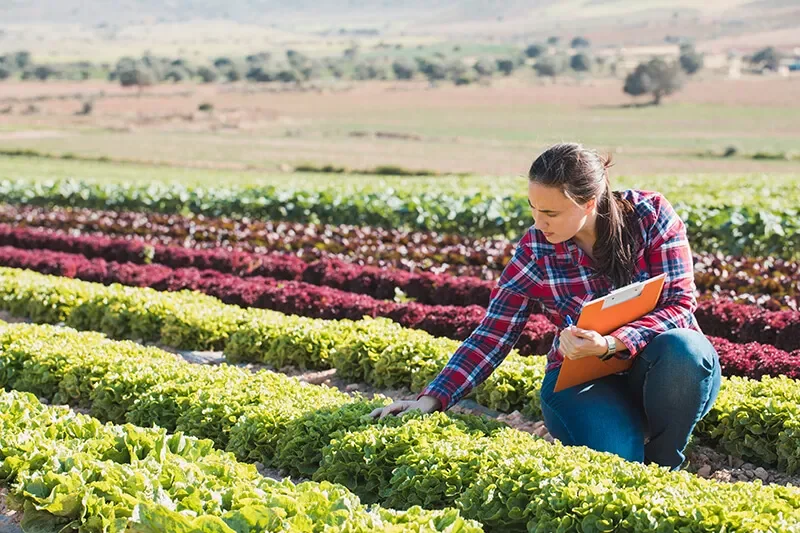 Nguyên tắc vàng của canh tác bền vững: "Kim chỉ nam" cho nông nghiệp tương lai
