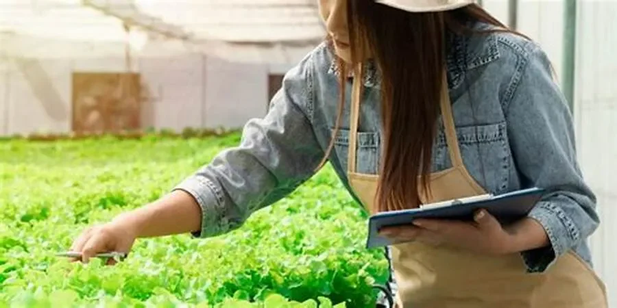 Lợi ích thiết thực của canh tác bền vững: "Gặt hái" nhiều giá trị