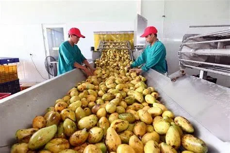"Bỏ túi" các phương pháp chế biến nông sản đơn giản tại nhà