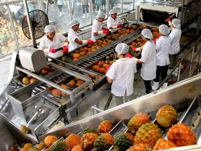 Câu chuyện người trẻ về quê làm nông nghiệp công nghệ cao