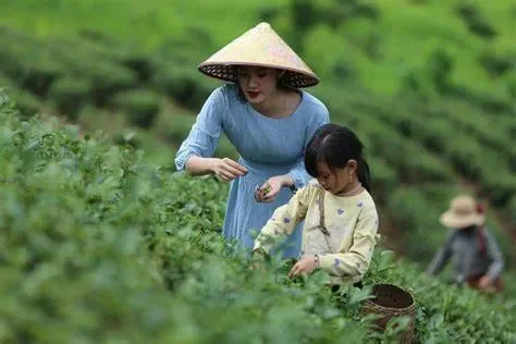 "Tất tần tật" các hoạt động trải nghiệm nông sản "must-try" trong du lịch nông nghiệp