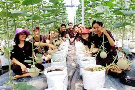 Lợi ích "vàng" mà nông sản nhập khẩu mang lại cho người tiêu dùng Việt
