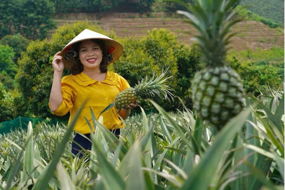Lợi ích khi là hội viên nông dân nòng cốt