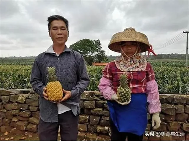 Làm thế nào để phát triển đội ngũ hội viên nông dân nòng cốt?