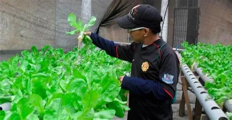 Kinh nghiệm thực tế về phát triển nông nghiệp bền vững