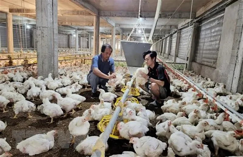 Công việc cụ thể trong nghề nông: Đa dạng từ đồng ruộng đến văn phòng