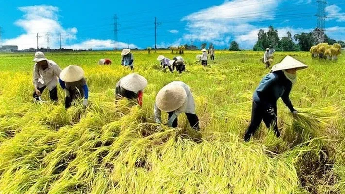 Cơ hội và thách thức của nghề nông trong bối cảnh mới