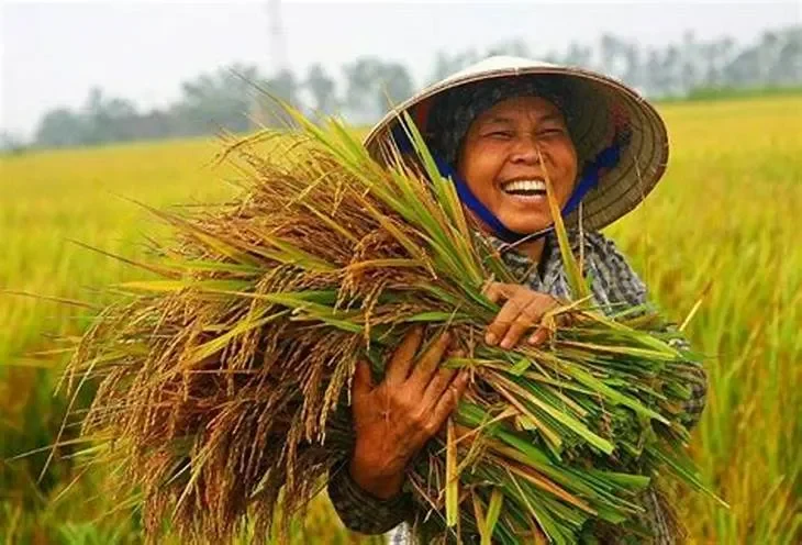 Những khó khăn, thách thức mà người nông dân Việt Nam đang đối mặt