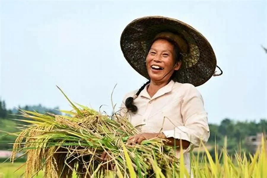 Câu chuyện người nông dân đổi đời nhờ ứng dụng công nghệ