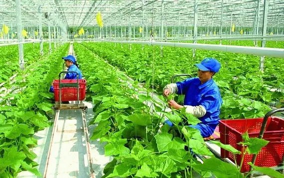 Để thành công với nghề Nông học: Cần trang bị những gì?