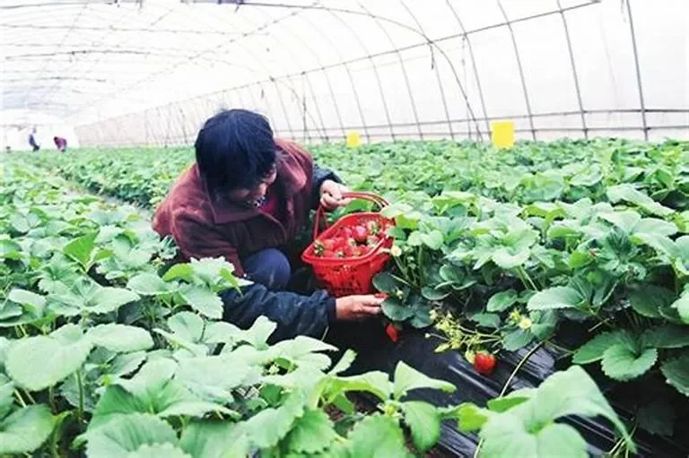 Vì sao Nông học vẫn là ngành "hot" trong thời đại mới?