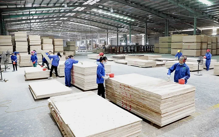 Nông Lâm Sản Gồm Những Gì? Khám Phá Thế Giới Sản Phẩm Nông Nghiệp Và Lâm Nghiệp Đa Dạng