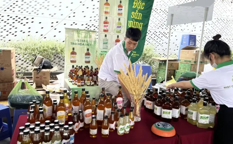 Làm thế nào để thưởng thức và mua nông sản đặc sản vùng miền chất lượng?