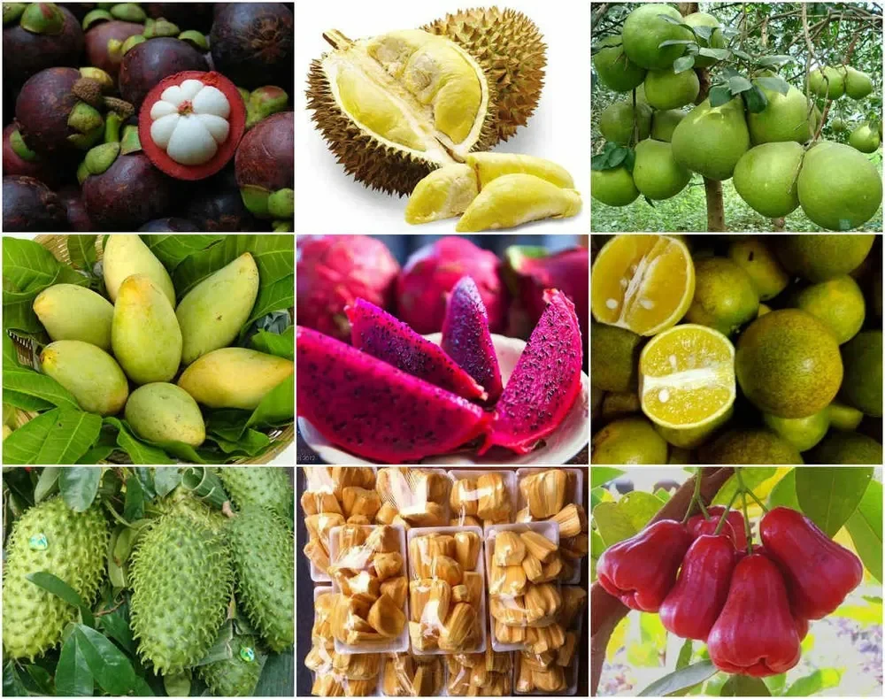 Khám phá thế giới nông sản nhập khẩu: Đến từ đâu? Có gì đặc biệt?