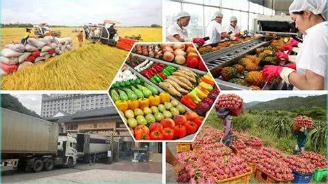 Vì sao nông sản phải nhập khẩu? Nguyên nhân sâu xa