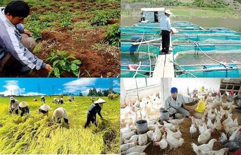 Sản xuất nông nghiệp là gì? Định nghĩa dễ hiểu