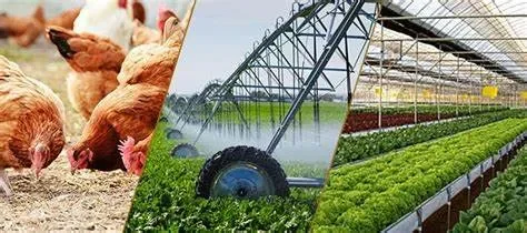 Các hình thức sản xuất nông nghiệp phổ biến hiện nay