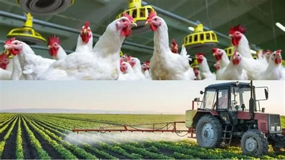 Vai trò quan trọng của sản xuất nông nghiệp trong đời sống