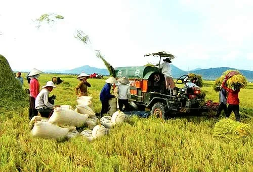 Công nghệ và Nông nghiệp Hữu cơ - "Cặp đôi hoàn hảo"