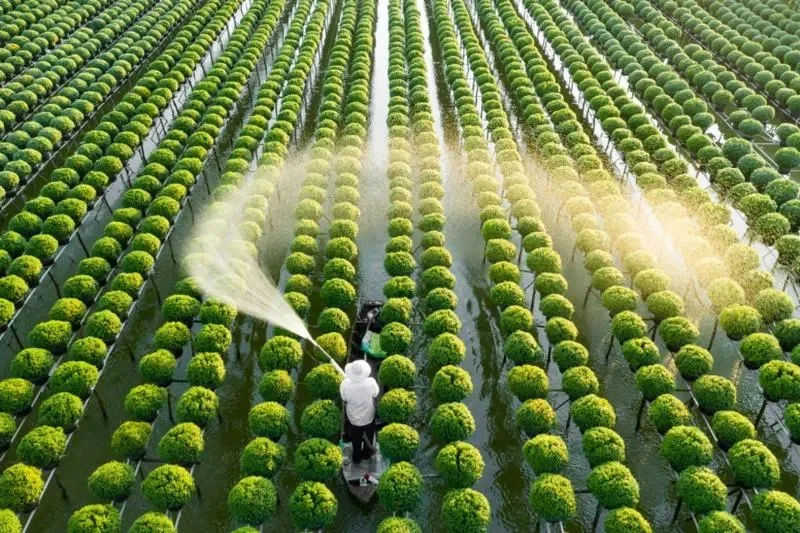 Ứng dụng công nghệ trong từng khâu của trồng trọt hữu cơ