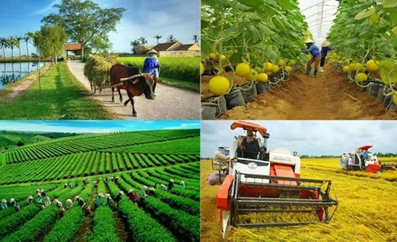 Nông sản là gì và bao gồm những gì?