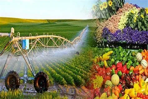 Các tiêu chuẩn của nông nghiệp sạch