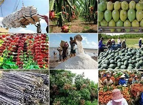 Cơ hội và thách thức cho xuất khẩu nông sản Việt Nam trong tương lai