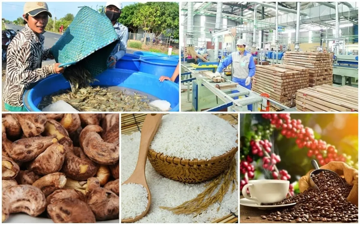 Top 5 nông sản xuất khẩu chủ lực của Việt Nam