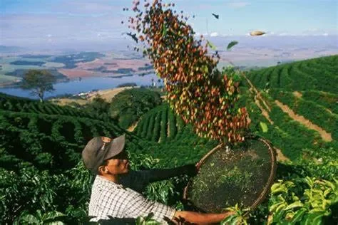 Trải nghiệm du lịch nông nghiệp tại các vùng trồng nông sản nổi tiếng